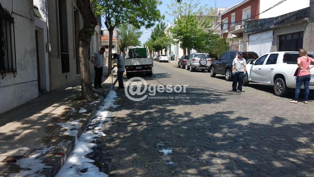 Image5